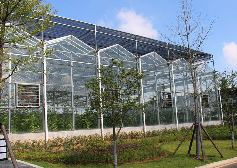 青州中阳温室工程有限公司