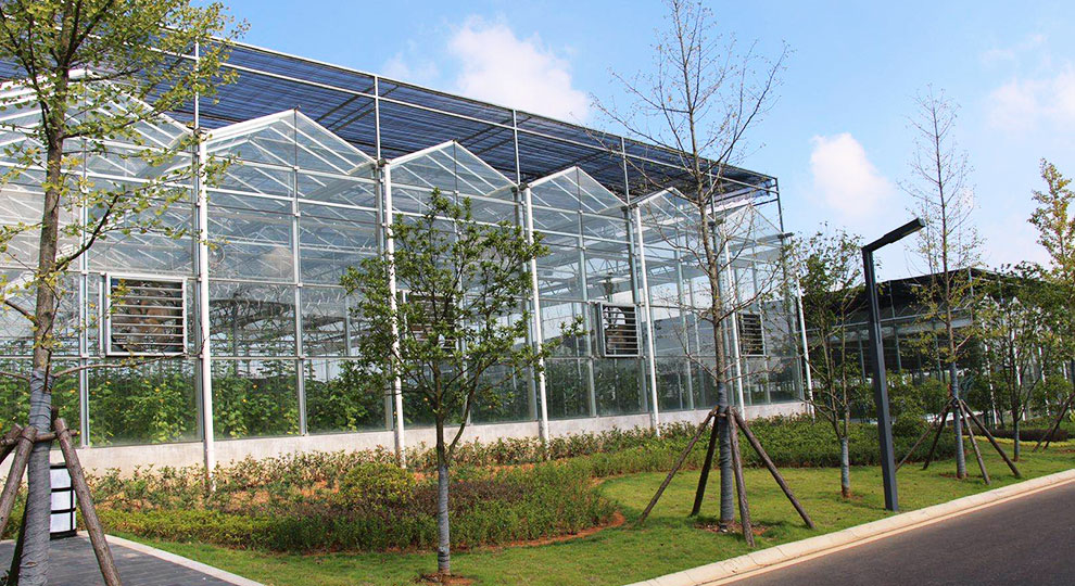 64eda85f1a41c.jpg 首页图.jpg