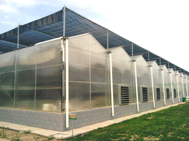 阳光板温室